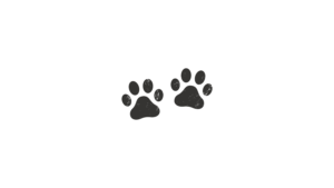 untitled design (6) paw prints
